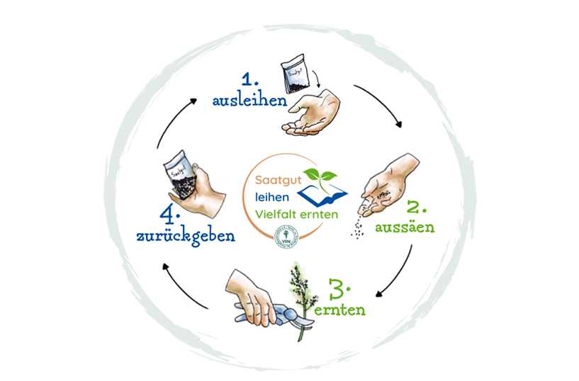 Symbolbild Saatgut verleihen