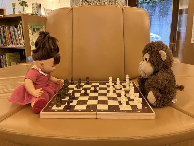 Schach beide.jpg