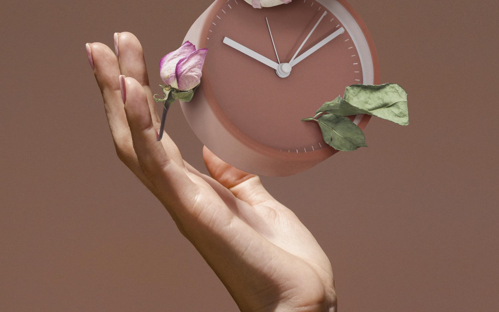 Symbolfoto Hand mit Uhr und Rosen